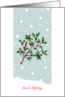Season’s Greetings with Stylized Holly, Christmas Card, Falling Snow card