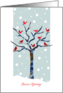 Season’s Greetings with Stylized Robins on Tree, Christmas Card, Snow card