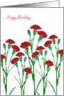 Happy Birthday with Stylized Red Carnation, Elegant Floral Design, card