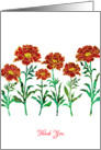 Business - Thank You with Red Stylized Marigold Flowers, Floral Design card