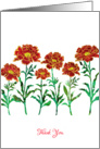Thank You with Red Stylized Marigold Flowers, Floral Design card