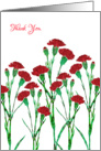 Thank You with Stylized Red Carnation, Elegant Floral Design, card