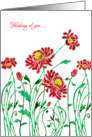 Thinking of You with Stylized Chrysanthemum, Elegant Floral Design card