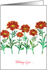 Thinking of You with Stylized Red Marigold, Elegant Floral Design card