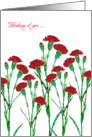 Thinking of You with Stylized Red Carnation, Elegant Floral Design card