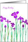 Happy Birthday with Stylized Purple Iris, Elegant Floral Design card