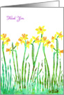 Thank You with Stylized Yellow Daffodil, Floral Design card