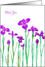 Thank You with Stylized Purple Iris, Elegant Floral Design card