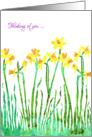 Thinking of You with Stylized Yellow Daffodil, Elegant Floral Design card