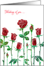 Thinking of You with Stylized Red Rose, Floral Design card