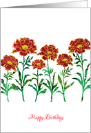 Happy Birthday Red Marigold Flowers, Elegant Floral Design, card