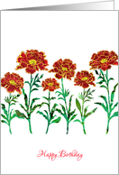 Business - Happy Birthday Red Marigold Flowers, Elegant Floral Design card