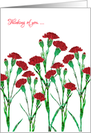 Thinking of You with Stylized Red Carnation, Elegant Floral Design card