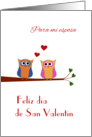 Valentine for wife two owls - Spanish language card