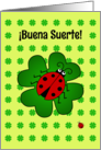 Good Luck ladybug and clover pattern - spanish language card