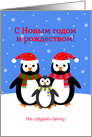 Christmas new year penguins russian custom text card
