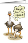 Funny Birthday, Scared Ostrich with Head In Sand, Don’t Be Scared card