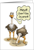 Funny Birthday, Scared Ostrich with Head In Sand, Don’t Be Scared card