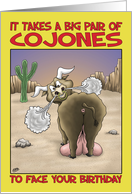 Birthday Humor, Big Pair Of Cojones card