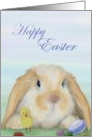 Happy Easter with bunny, chick and eggs card