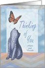 Thinking Of You with Cat and Butterfly in Blues and Oranges card