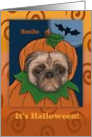 It’s Halloween Pug card, so smile! pug in pumpkin costume card