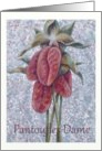 Blank card lady slippers, pantoufles dame in french card