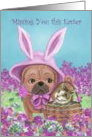 Missing you this Easter with pug in bunny ears and cat in basket card