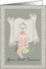 Your first Passover/ baby’s Passover/first Passover card