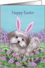 Shih Tzu dog with bunny ears at Easter card