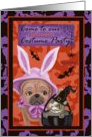 Come to our Halloween Costume Party with pets in costume card