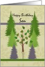 Happy Birthday Son with lone deciduous tree among pine trees card
