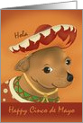 Hola, Happy Cinco de Mayo with Chihuahua in Hat, Poncho card