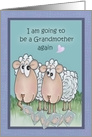 Grandma Sheep Showing Pictures of New Grandbaby to Friend card