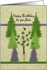 Happy Birthday to you Boss with lone deciduous tree among pine trees card