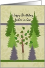 Happy Birthday father-in-law with lone deciduous tree among pine trees card