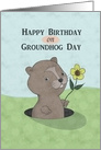 Cute Groundhog Holding Flower for Birthday, Groundhog Day card