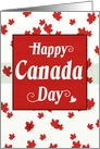 Happy Canada Day White Background Red Maple Leaves card
