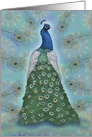 Blank Peacock Bird and Feathers card