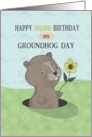 Happy Golden Birthday Groundhog card