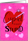 Cupid Wasn’t Stupid Happy Valentine’s Day with Hearts Arrow card