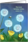 May Your Birthday Wishes Come True Dandelions Ladybug card