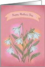 Happy Mother’s Day White Flowers over Pink Background card