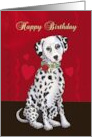 Happy Birthday with Cute Dalmatian Dog Red and Black Background card
