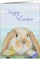 Happy Easter with...