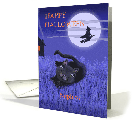 Happy Halloween Nephew with moon, witch and black cat card (1326318)