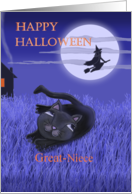 Happy Halloween Great-Niece with moon, witch and black cat card