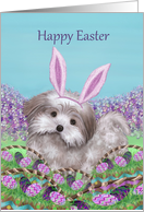 Shih Tzu dog with bunny ears at Easter card