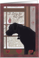 So Sorry For The Loss Of Your Pet dog card with red cardinal card