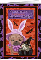 Come to our Halloween Costume Party with pets in costume card